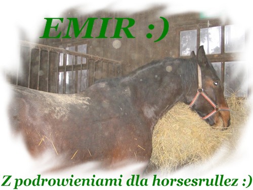 Emir :)