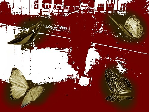 BUTTERFLY ATTACK