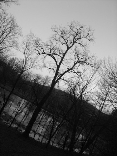 Oo... park