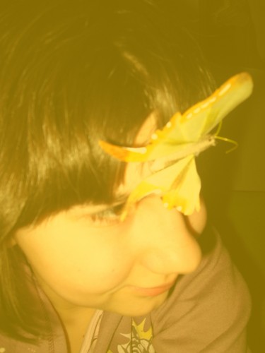 Why you look at me in this way?