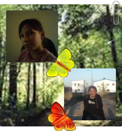 Myy