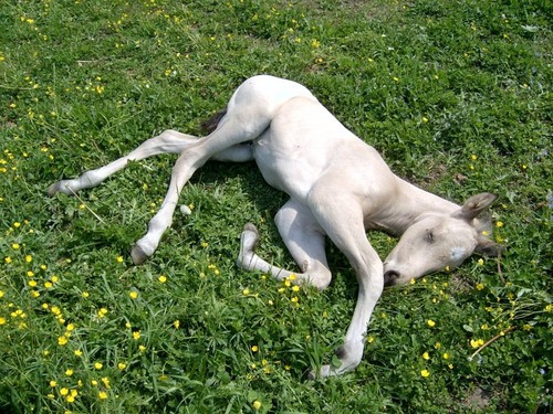 Janiowe Wzgrze, 19.05.2007 r.