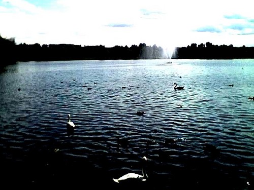 Piechot do lata ;)
