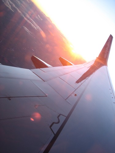 Fly