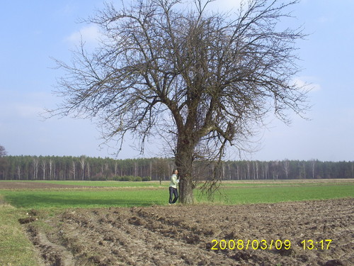 nasze...
