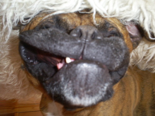 Mooorda xD
