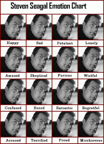 Steven Seagal Hardkor Gey Men