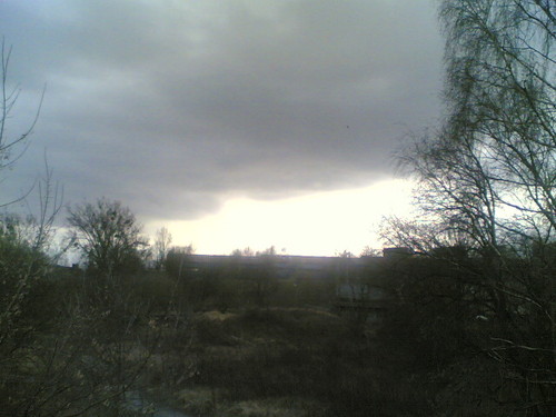 Nature,......