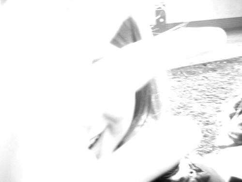14 ; DD