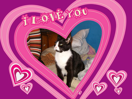 MY LOve:P