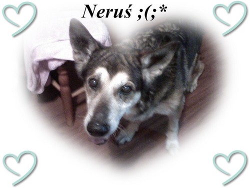 Neru ;(( ;**