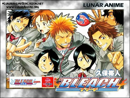 ..::bLeAcH::..