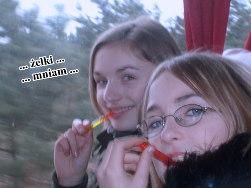 z Sylwi