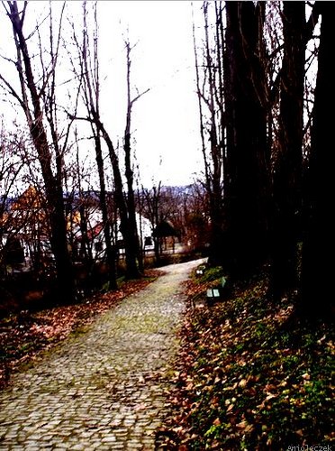 Park...
