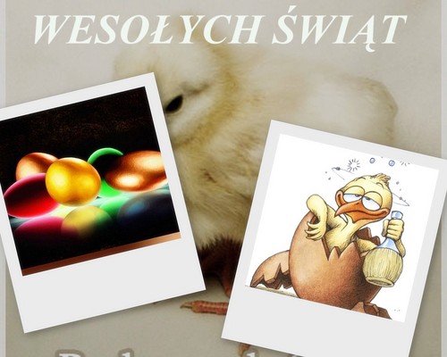 wesoych wit