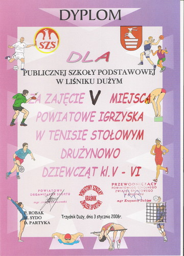 TENIS DRUYNOWY