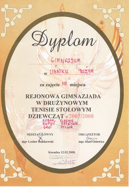 MISTRZOSTWA REJONU