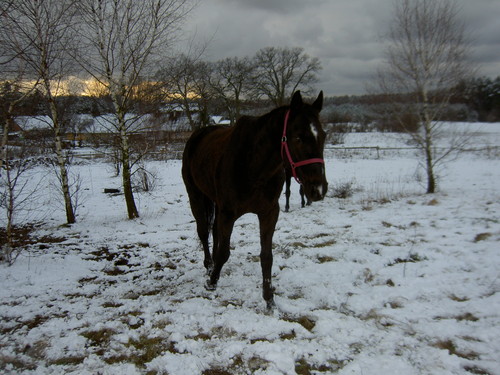 BaBBi ... =*