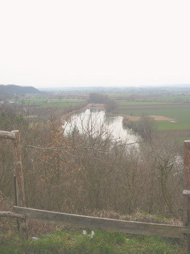 Misty landscape.