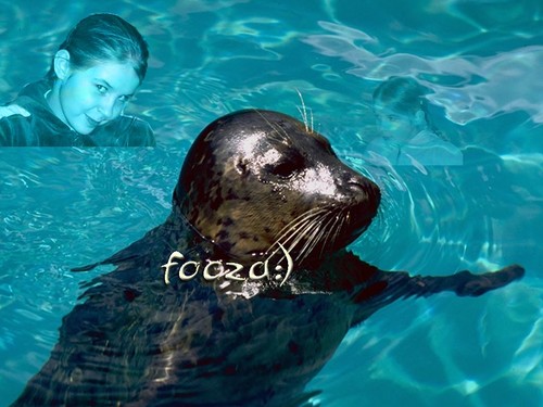 Focza xDDD