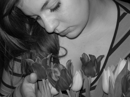 tulipany