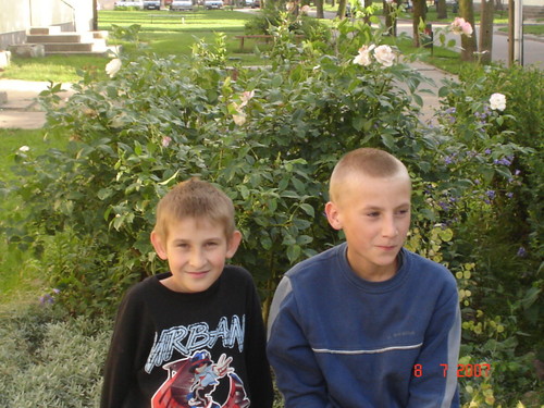W Dobrzyniu