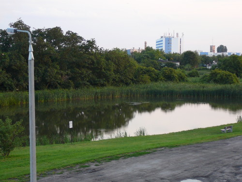 Stawek wiosna 2007