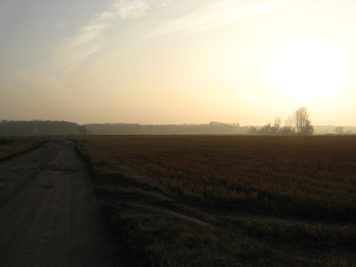 przybyszewo