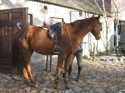 Pocztek Jazdy...