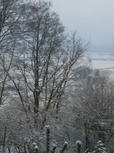 nieg.. 