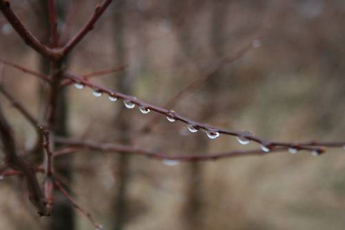 8.
