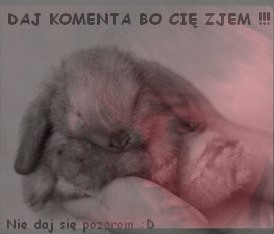 ;((!