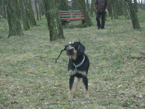 Aleksander :)