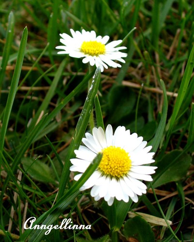 I WANT SPRING!