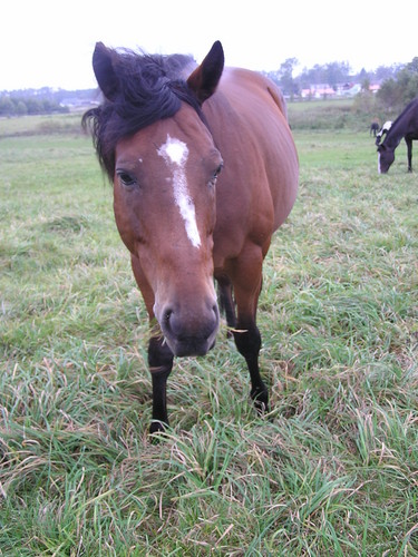 Neptun:*:*:*