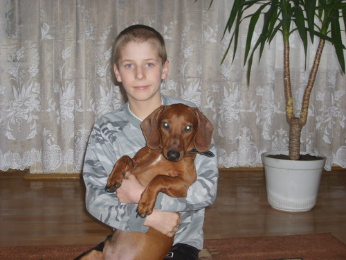 TO JA I FALKO