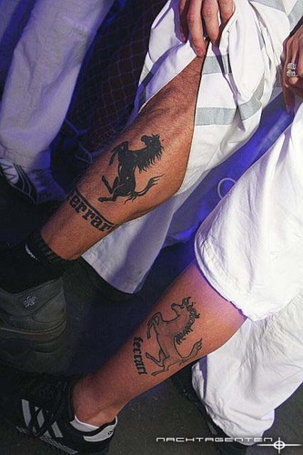 Sensation White