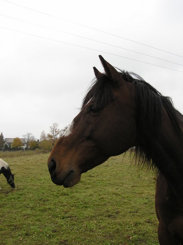 Neptun:*:*:*