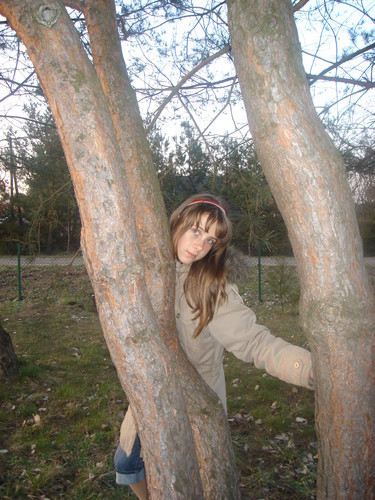 Boska JaxD
