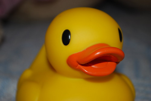 A perfekt duck =]