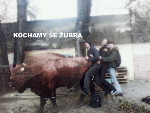 A w przerwie midzy lekcjami...