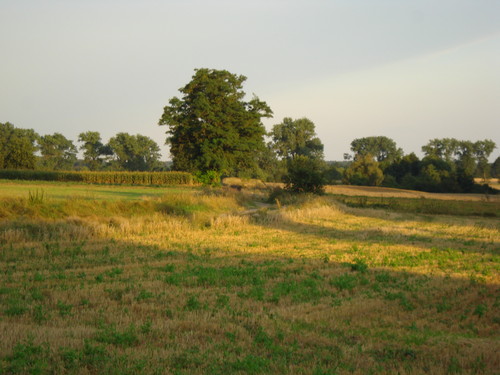 Krajobraz