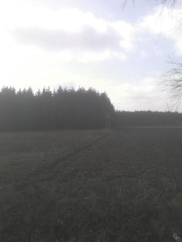 samborowo 