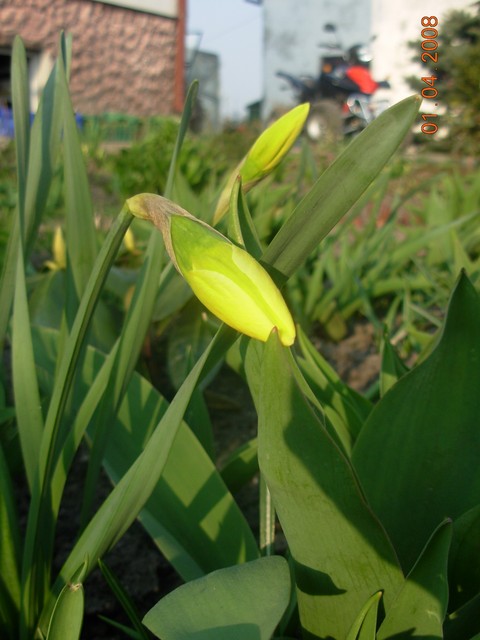 Wiosna. ;P