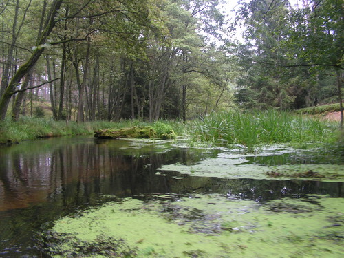 KajAki ZnowUxDxxxbo brakixxx
