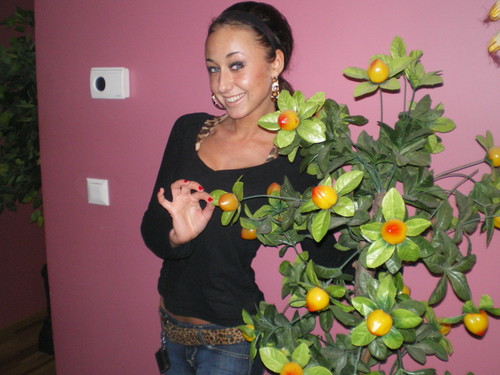 Krlewn by, zote kwiatki rwa