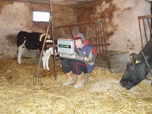W moim magicznym domku...