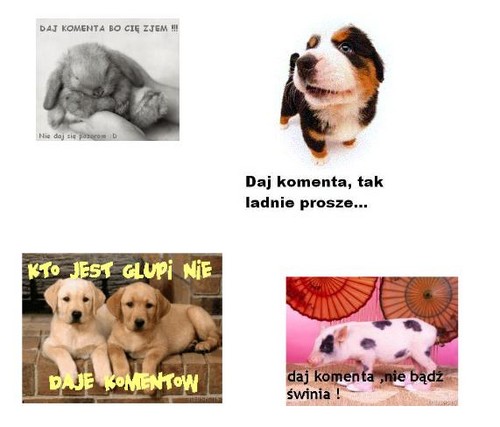 koment