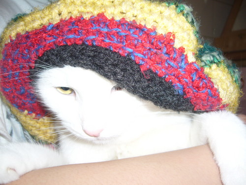 Rasta-kot