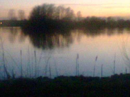 Nene Park